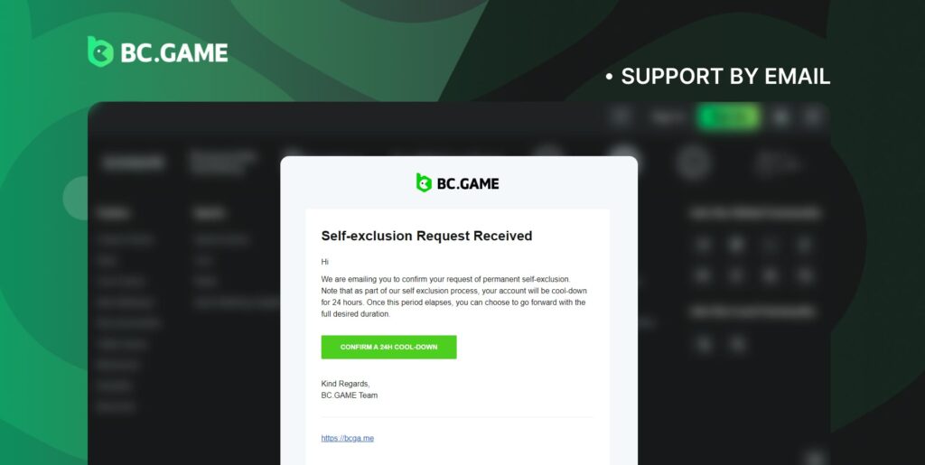 Contact BC Game support by email